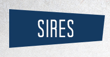 Sires