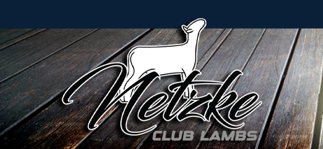 Netzke Club Lambs